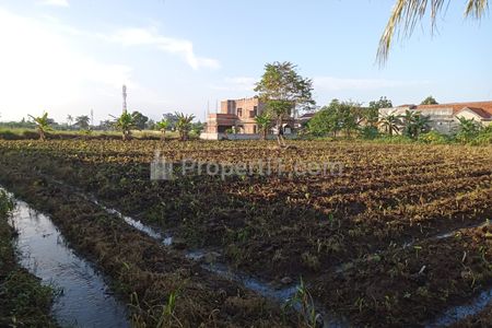 Dijual Kavling Murah di Kota Bogor, Dekat Calon Pintu Tol Dramaga, Bisa Dicicil 12x Tanpa Bunga