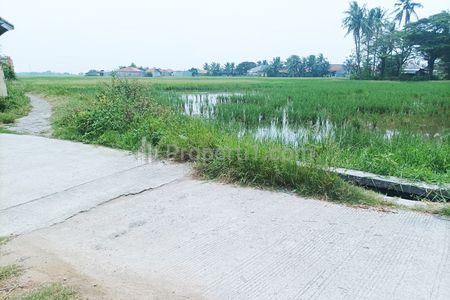 Jual Tanah 6.263 m2 di Mauk Tangerang Dekat Pasar Mauk, Puskesmas Mauk, Koramil Mauk, SMAN 2 Kabupaten Tangerang, Taman Mangrove Ketapang