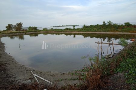 Dijual Cepat Tanah Tambak di Legundi Ketapang Lampung Selatan