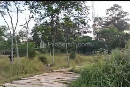 Jual Tanah Industri Pinggir Jalan Pantura Petamanan Batang Jawa Tengah