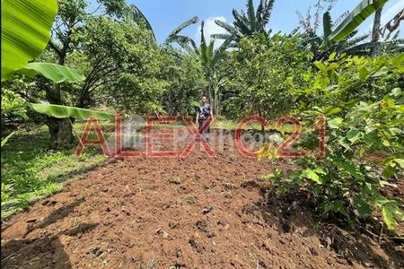 Dijual Tanah Residensial 200 m² di Pondok Cina, Beji, Kota Depok