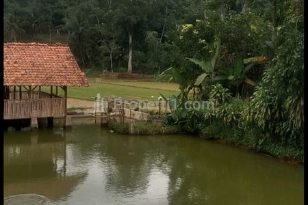 Jual Tanah Girik 9700m2 di Karangnunggal Tasikmalaya, Cocok untuk Kebun, Peternakan ikan, Pondok Pesantren, Mesjid, Asrama Putra & Putri, dll