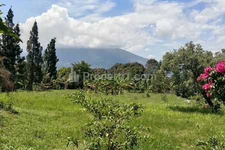 Dijual Tanah dan Kebun Durian Produktif di Caringin Kab.Bogor