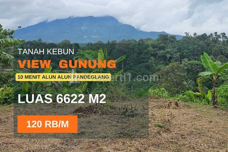 Dijual Tanah Luas Cocok untuk Villa, Pondok Pesantren dan Perkebunan di Pandeglang Banten