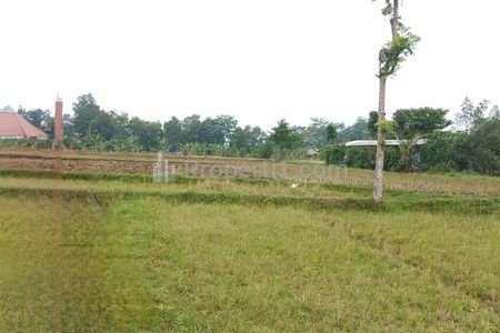 Dijual Tanah Kosong di Daerah yang Sedang Berkembang Pesat di Bogor