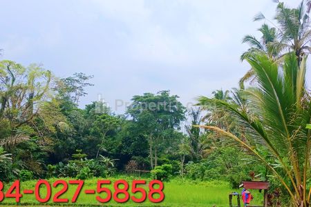 Dijual Tanah 2000 m2 di Pupuan Tegallalang Gianyar Bali