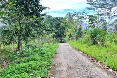 Dijual Tanah 2960m² Hanya 275 Juta Lingkungan Sejuk Udara Dingin di Karangpandan Karanganyar