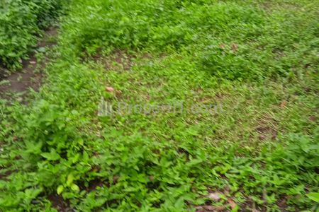 Dijual Tanah Strategis Lokasi Sudah Ramai Penduduk dan Perumahan
