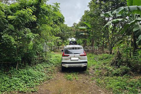 Jual Tanah Cocok untuk Villa, Pondok Pesantren dan Perkebunan di Karang Tanjung, Pandeglang, Banten