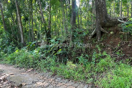 Dijual Tanah Murah 430m² Hanya 50 Juta di Sragen, Jawa Tengah