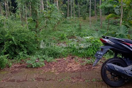 Dijual Tanah Datar 1500m2 325Juta di Mojogedang, Karanganyar