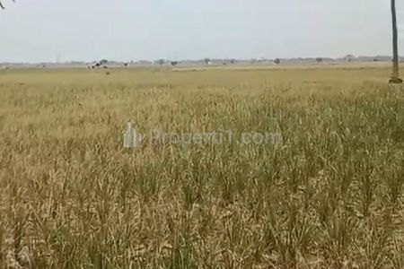 Dijual Lahan Bagus di Sukatenang, Bekasi