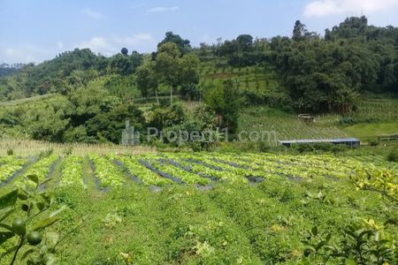 Jual Cepat Tanah Komersial Lokasi Strategis di Lembang, Bandung