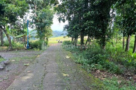 Dijual Tanah Istimewa View Hamparan Sawah Karanganyar