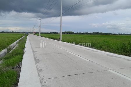 Dijual Tanah 562 m2 Pinggir Jalan Sawah Luhur-Ciruas, Kasemen, Serang, Banten