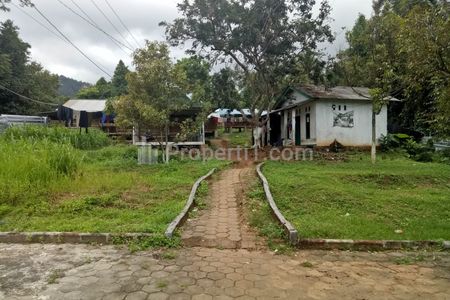 Dijual Tanah Pinggir Jalan Desa Bonus 70 Domba Kambing di Serang