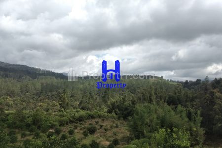 Jual Tanah di Daerah Karo Desa Lau Riman, Kec. Tiga Panah