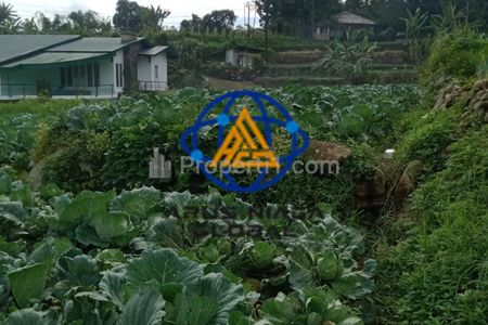 Jual Tanah 800m2 di Cibodas Tangerang Sertifikat AJB