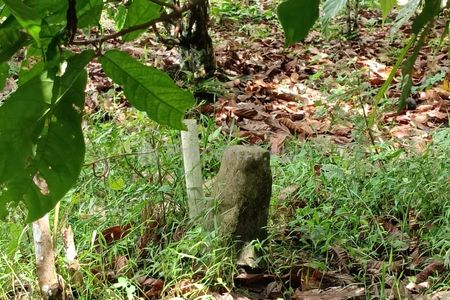 Jual Cepat Tanah Kosong Subur, Bisa untuk Tinggal dan Bercocok Tanam di Semabung Baru, Pangkal Pinang