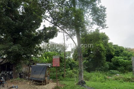 Dijual Tanah Komersial Lokasi Strategis Depan PT Sunglim Chemical di Jl. Pemda Tigaraksa Tangerang