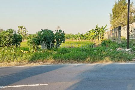 Jual Tanah 10 Hektar di Kedungpring Lamongan Pinggir Jalan Raya Babat-Jombang, Dekat Pasar Kedungpring, SMA Negeri Kedungpring