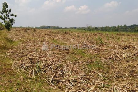 Dijual Tanah Strategis di Rejosari, Sukoharjo