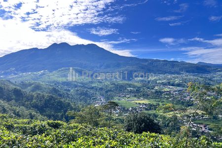 Jual Tanah 3780m2 View Cantik di Kemuning, Karanganyar, Jawa Tengah
