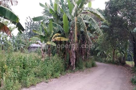 Jual Tanah Kavling Sentul, 2 Jutaan Dekat Sirkuit Sentul
