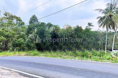 Dijual Tanah Harga 250 Juta di Tepi Jalan Kerjo- Kemuning Karanganyar