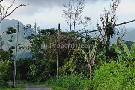 Jual Tanah Kebun Alpukat Produktif di Sukasada Buleleng Bali