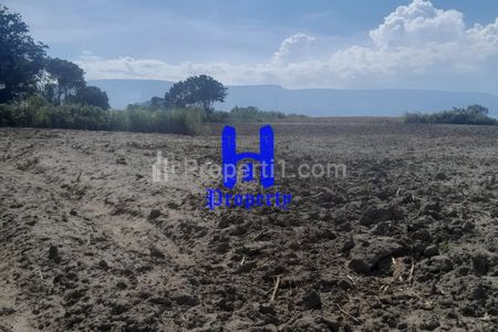 Jual Tanah Kosong Strategis di Jalan Raya Simanindo - Simarmata, Cinta Dame, Samosir