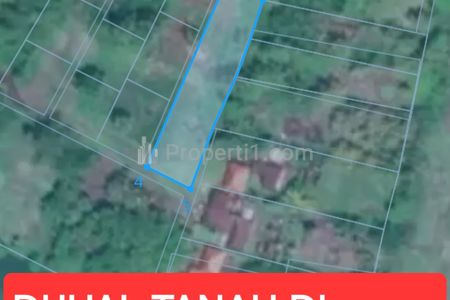 Dijual Tanah 1460 m2 di Pengambengan Negara Jembrana Bali