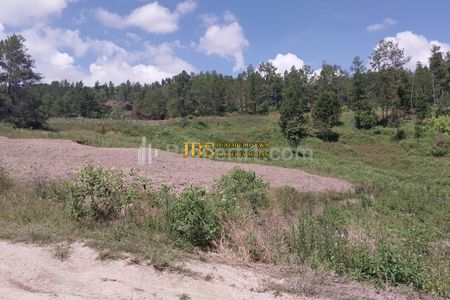 Dijual Tanah Kosong di Daerah Samosir, Kec. Simanindo, Desa Marlumba