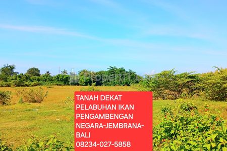 Dijual Tanah 9901 m2 Dekat Pelabuhan Pengambengan Jembrana Bali