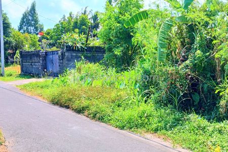 Jual Tanah Luas 400 m2 Dekat Stadion Dipta Gianyar Bali
