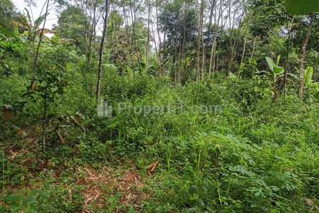 Dijual Cepat Tanah Strategis Pinggir Jalan Desa Bisa Buat Tani, Ternak, Komplek di Cicantayan, Sukabumi