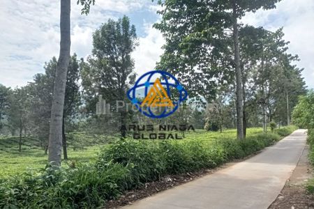 Dijual Tanah di Cisarua Bogor Bersertifikat SHM