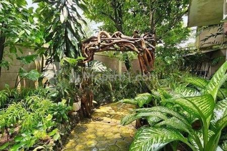 Taman
