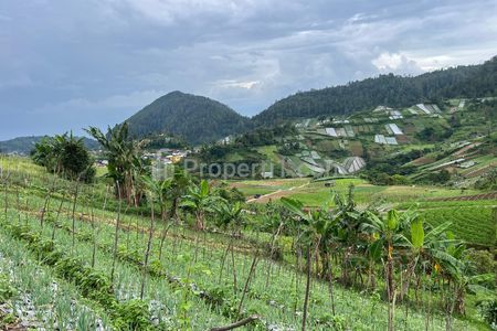 Jual Tanah 300 Juta Strategis Bangun Villa di Tawangmangu Karanganyar