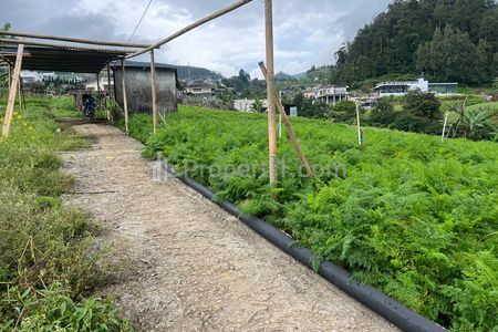 Dijual Tanah Datar 970m² Kawasan Villa Tawangmangu Karanganyar