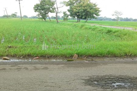 Jual Tanah untuk Investasi di Kawasan Berkembang Dekat GT. Sumberjaya Cipali Majalengka