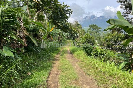 Dijual Tanah Kebun Durian 1237m² Kawasan Wisata Kemuning, Karanganyar