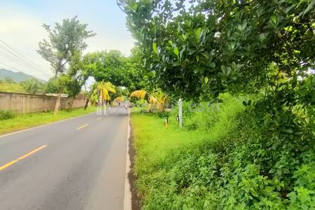Dijual Tanah 1 Hektar Jalan Seririt Singaraja Gerokgak Buleleng Bali