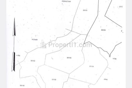 Jual Tanah 30 Hektar SHM di Desa Argapura, Cigudeg, Bogor, Cocok untuk Perumahan