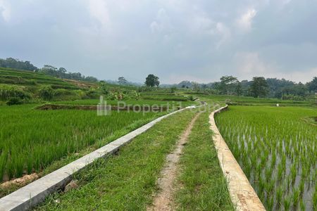 Dijual Tanah Murah 911m² 75 Juta di Kerjo, Karanganyar, Solo