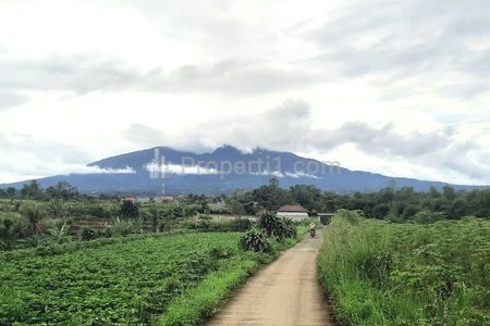 Dijual Tanah Murah di Ciherang Dramaga Kabupaten Bogor