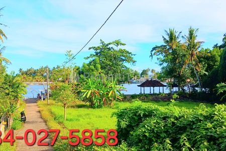 Dijual Tanah 2500 m2 Dekat Muara Pantai Pengambengan Negara Jembrana Bali