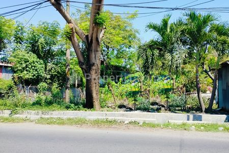 Tanah Dijual Raya Jeruk Lakarsantri Surabaya Barat