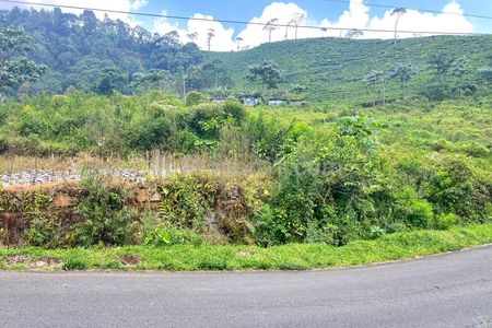 Dijual Strategis Tepi Jl Raya 498m View Kebun Teh Kemuning, Karanganyar