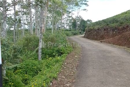 Jual Tanah Kebun Produktif dan Strategis Pinggir Jalan di Taraju Tasikmalaya